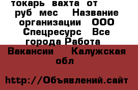 токарь. вахта. от 50 000 руб./мес. › Название организации ­ ООО Спецресурс - Все города Работа » Вакансии   . Калужская обл.